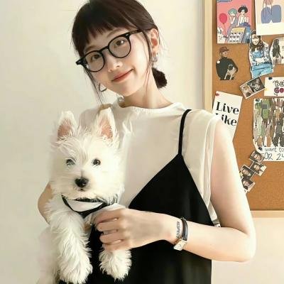 宝藏寻踪